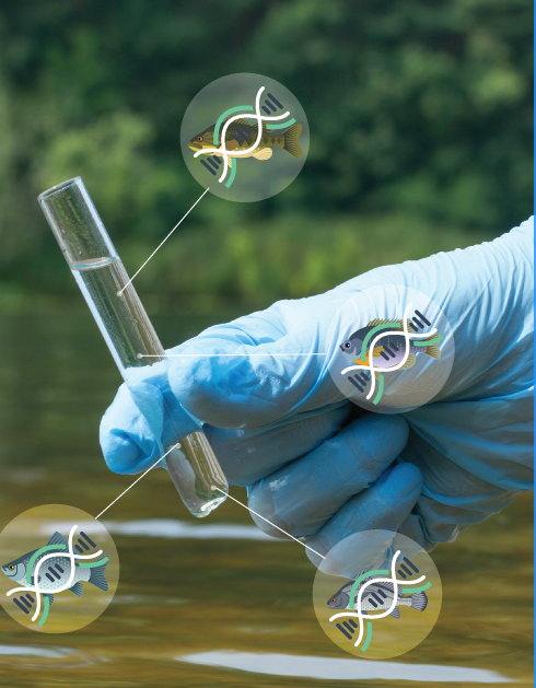 Laboratory glassware — independent analysis